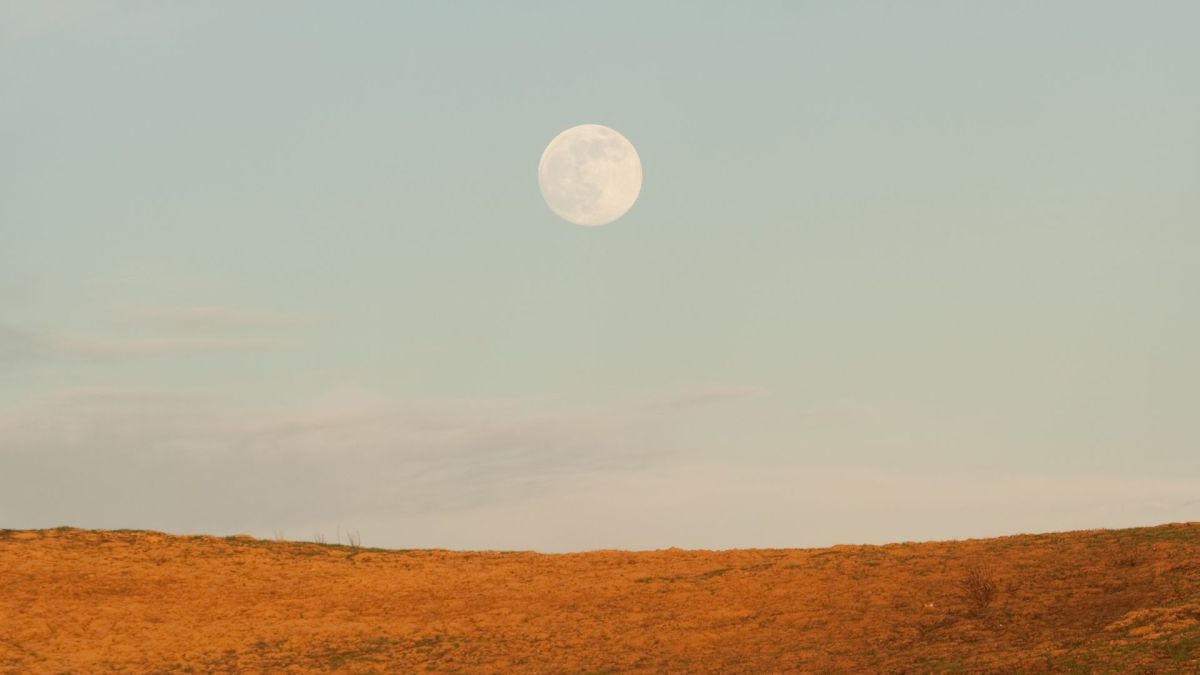 Pleine Lune. // Source : Canva Pleine Lune. // Source : Canva