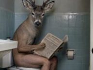 Mi-homme, mi-cerf // Source : Numerama