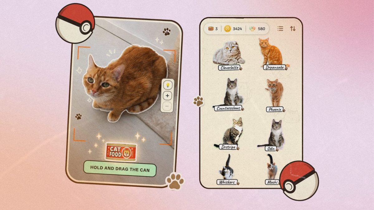CatchCat invite les joueurs à photographier de vrais chats pour les ajouter à leur collection virtuelle // Source : CatchCat / Numerama CatchCat invite les joueurs à photographier de vrais chats pour les ajouter à leur collection virtuelle // Source : CatchCat / Numerama