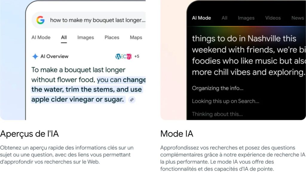 AI Overviews / AI Mode // Source : Google AI Overviews / AI Mode // Source : Google
