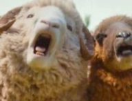 Les Moutons Détectives // Source : Prime Video Les Moutons Détectives // Source : Prime Video