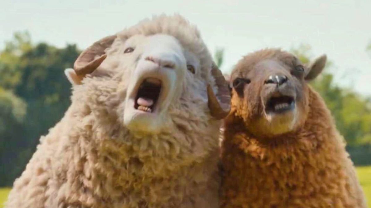 Les Moutons Détectives // Source : Prime Video Les Moutons Détectives // Source : Prime Video
