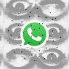 Whatsapp ouvre la voie aux pseudos // Source : montage Numerama