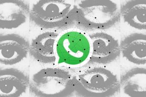 Whatsapp ouvre la voie aux pseudos // Source : montage Numerama Whatsapp ouvre la voie aux pseudos // Source : montage Numerama