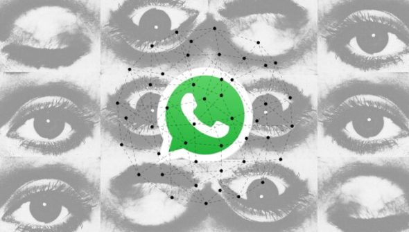 Whatsapp ouvre la voie aux pseudos // Source : montage Numerama Whatsapp ouvre la voie aux pseudos // Source : montage Numerama