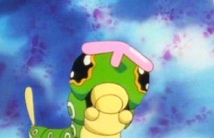 Chenipan. Source : Pokémon Chenipan. Source : Pokémon