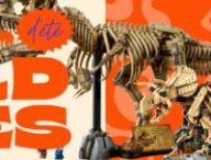 Lego fossiles de dinosaures // Source : Numerama