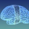 Meta et son IA capable de lire les signaux cérébraux. // Source : Numerama