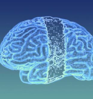 Meta et son IA capable de lire les signaux cérébraux. // Source : Numerama
