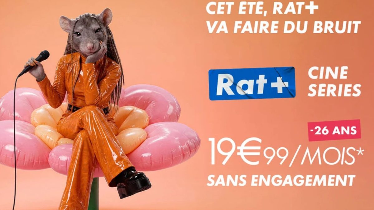 Rat+ été 2026 // Source : Canal+ Rat+ été 2026 // Source : Canal+