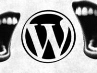 wp2shell // Source : montage Numerama