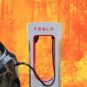 Tesla incendie en Gironde // Source : Montagne Numerama Tesla incendie en Gironde // Source : Montagne Numerama