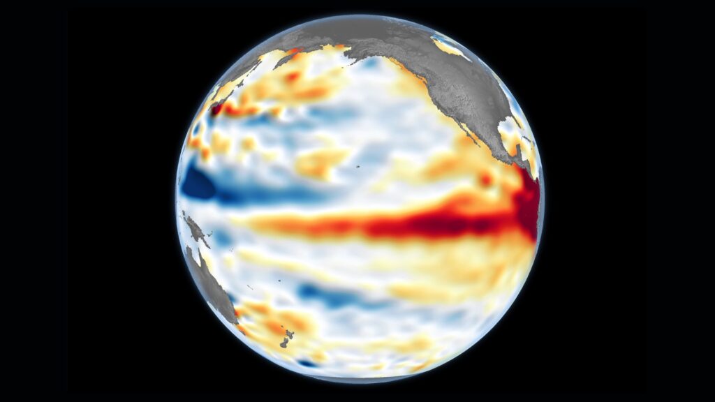 Surface de la mer plus élevée que la normale (en rouge) dans l'océan Pacifique, le 8 juin 2026. // Source : NASA Earth Observatory/Lauren Dauphin Surface de la mer plus élevée que la normale (en rouge) dans l'océan Pacifique, le 8 juin 2026. // Source : NASA Earth Observatory/Lauren Dauphin