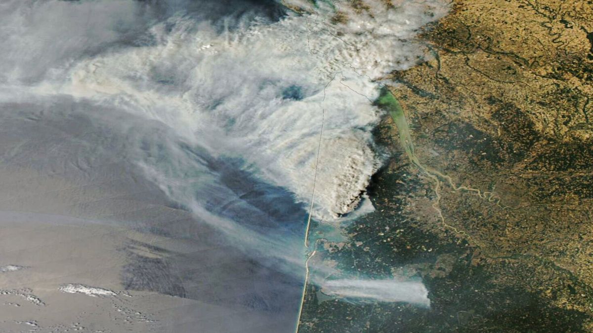 Incendies en Gironde. // Source : Via X @DorianDziadula (image recadrée)