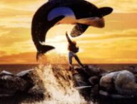 Sauvez Willy // Source : Warner Sauvez Willy // Source : Warner