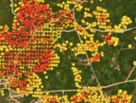 La page dédiée aux incendies en Gironde sur RecordPy. // Source : Capture d'écran RecordPy le 27 juillet à 12h15