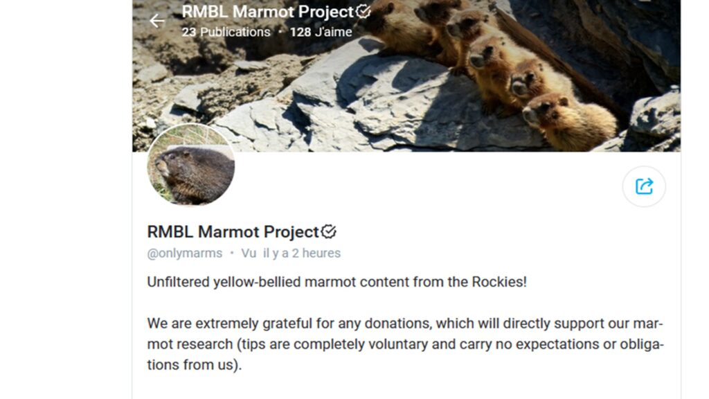 Le compte OnlyMarms vise à attirer l'attention du grand public. Le compte OnlyMarms vise à attirer l'attention du grand public.