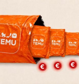 Temu // Source : Numerama / Temu Temu // Source : Numerama / Temu