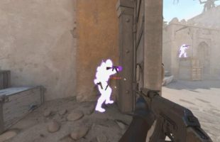 Wallhack Counter Strike // Source : Reddit