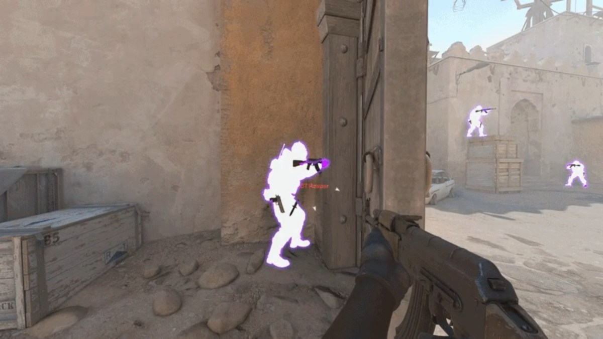 Wallhack Counter Strike // Source : Reddit