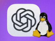 ChatGPT débarque enfin sur Linux avec Work et Codex // Source : OpenAI / Linux ChatGPT débarque enfin sur Linux avec Work et Codex // Source : OpenAI / Linux