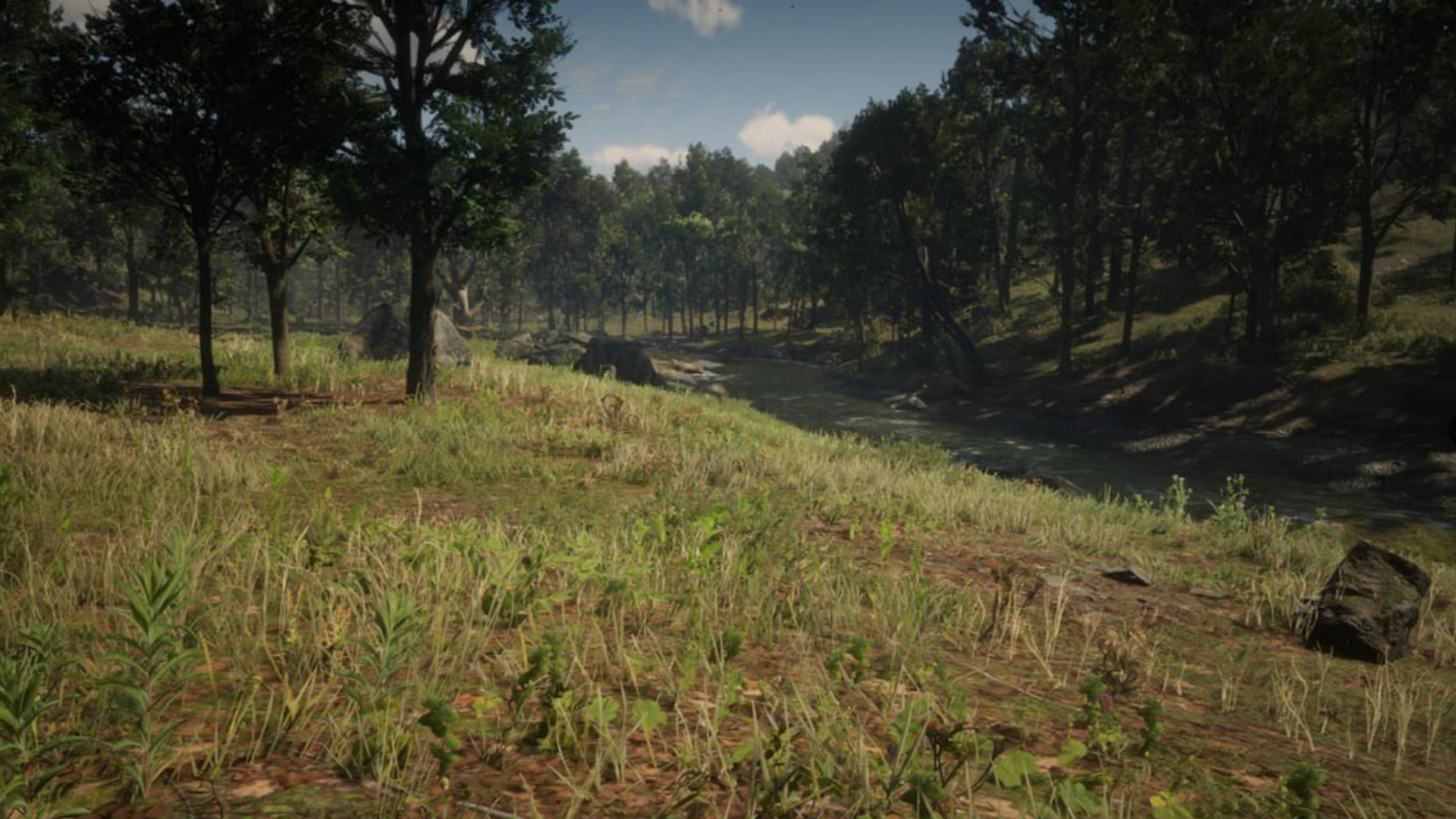 Un paysage de Red Dead Redemption 2