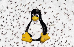 Linux IA scraping // Source : montage Numerama