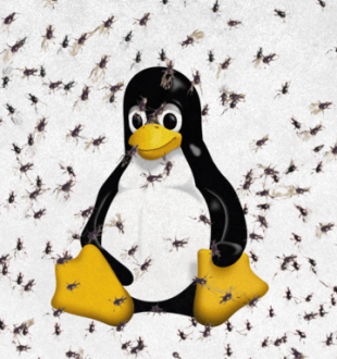 Linux IA scraping // Source : montage Numerama