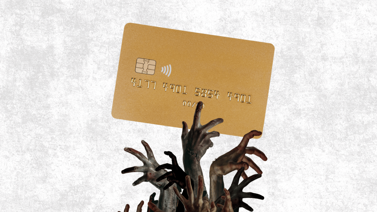 faille visa // Source : montage Numerama faille visa // Source : montage Numerama