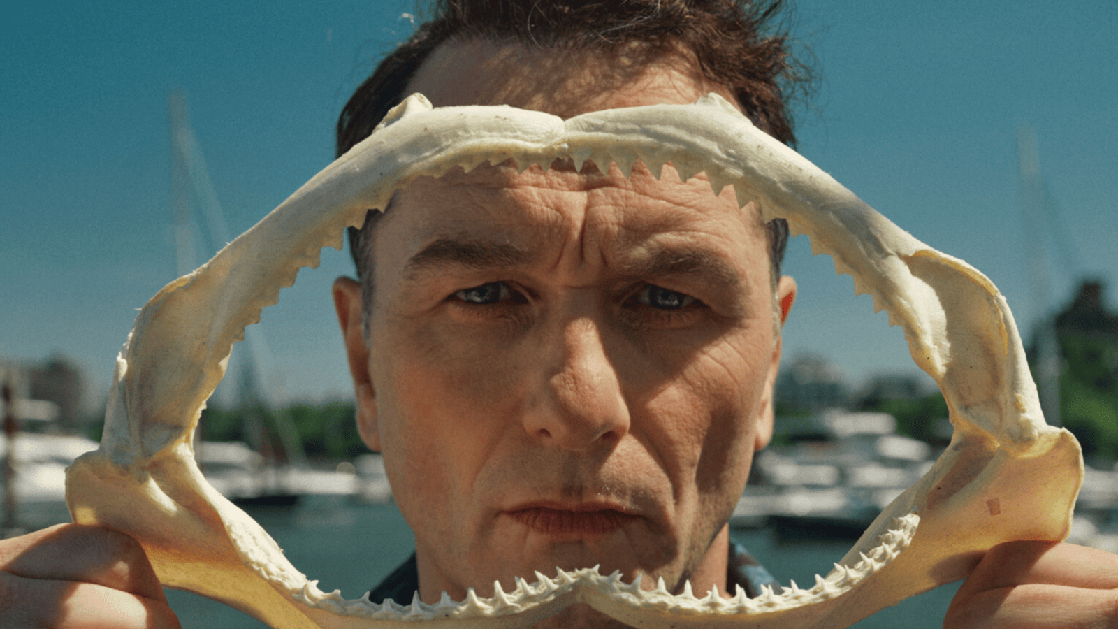 Emmy Awards 2026 : la liste des séries à voir absolument d’après les résultats
