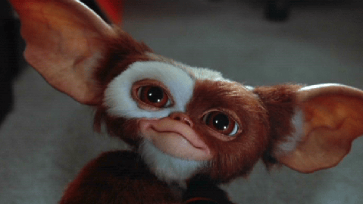 Steven Spielberg et Chris Columbus vont bien faire Gremlins 3… mais il y a un problème