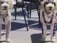 Source : Montage Numerama, OpenAI Source : Montage Numerama, OpenAI
