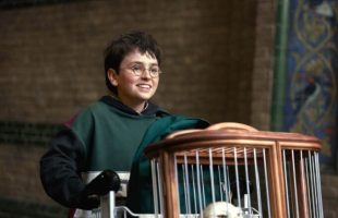 Harry Potter // Source : HBO