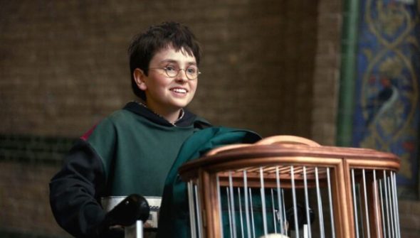 Harry Potter // Source : HBO