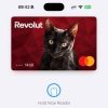 La carte Apple Pay avec mon chat. // Source : Numerama