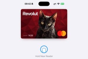 La carte Apple Pay avec mon chat. // Source : Numerama La carte Apple Pay avec mon chat. // Source : Numerama