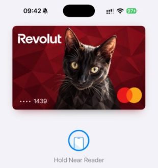 La carte Apple Pay avec mon chat. // Source : Numerama La carte Apple Pay avec mon chat. // Source : Numerama