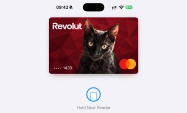 La carte Apple Pay avec mon chat. // Source : Numerama La carte Apple Pay avec mon chat. // Source : Numerama