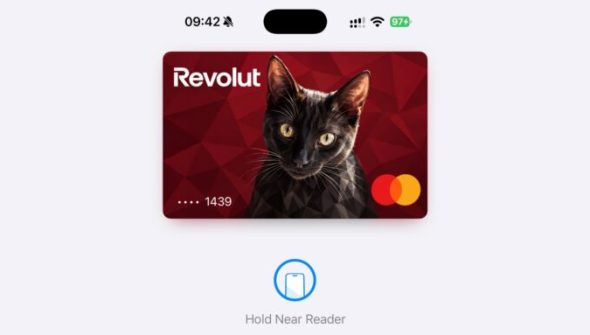 La carte Apple Pay avec mon chat. // Source : Numerama La carte Apple Pay avec mon chat. // Source : Numerama