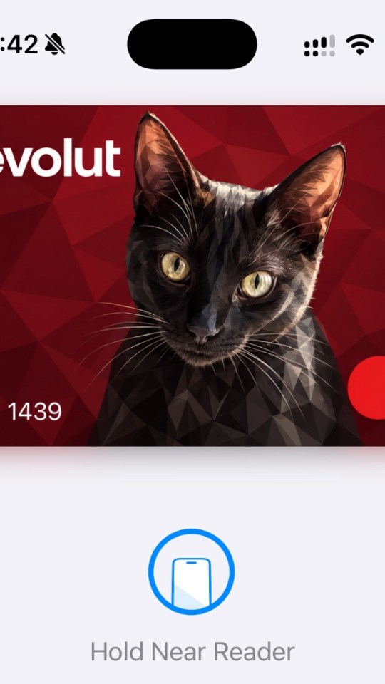 La carte Apple Pay avec mon chat. // Source : Numerama La carte Apple Pay avec mon chat. // Source : Numerama