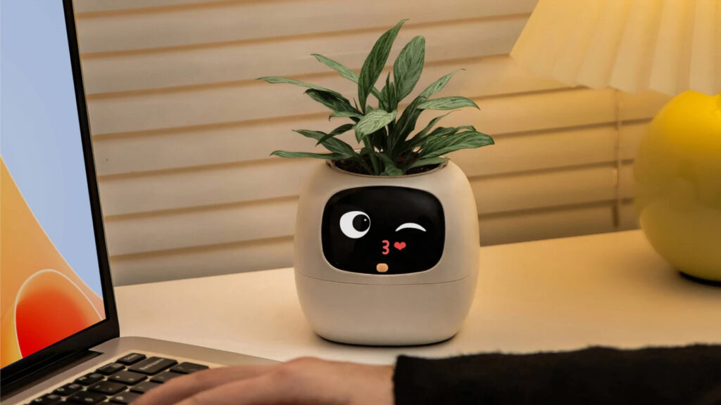 Ivy gen 2 // Source : PlantsIO