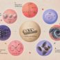 Source : Numerama avec ChatGPT Source : Numerama avec ChatGPT