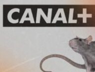 Rat+ Canal+ // Source : Montage Numerama