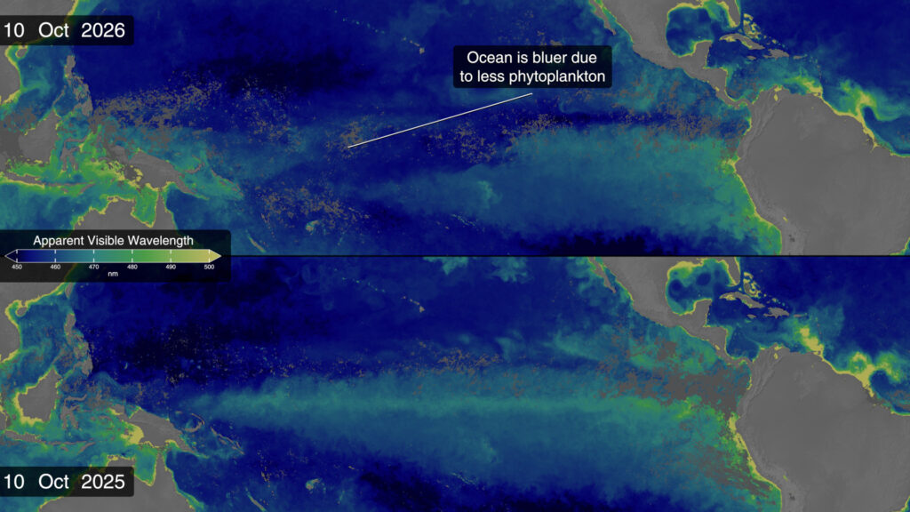 Comparaison de la couleur de l'océan en 2025 et 2026. // Source : NASA's Scientific Visualization Studio Comparaison de la couleur de l'océan en 2025 et 2026. // Source : NASA's Scientific Visualization Studio