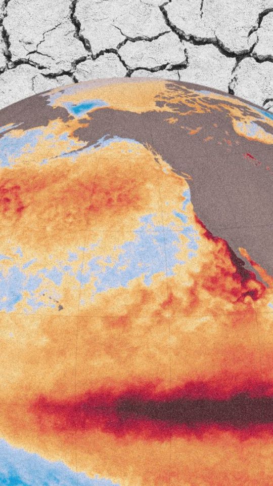 Anomalie des températures de surface de l'océan le 27 octobre 2026. // Source : Nasa Scientific Visualization Studio, montage Numerama Anomalie des températures de surface de l'océan le 27 octobre 2026. // Source : Nasa Scientific Visualization Studio, montage Numerama