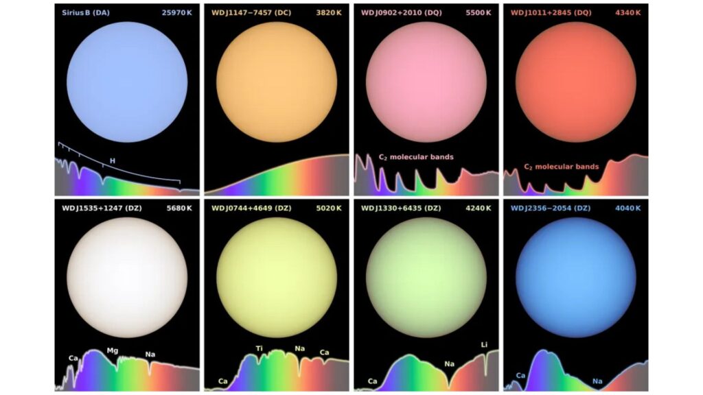 La couleur perçue des naines blanches, révélée par les scientifiques dans cette étude. // Source : Mark Hollands/University of Warwick