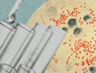 Yersinia pestis, l'agent infectieux de la peste. // Source : Wikimedia/CDC ; montage Numerama avec Canva Yersinia pestis, l'agent infectieux de la peste. // Source : Wikimedia/CDC ; montage Numerama avec Canva