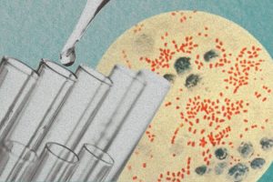 Yersinia pestis, l'agent infectieux de la peste. // Source : Wikimedia/CDC ; montage Numerama avec Canva Yersinia pestis, l'agent infectieux de la peste. // Source : Wikimedia/CDC ; montage Numerama avec Canva
