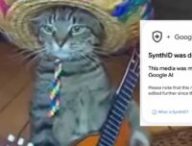 Un chat généré par IA et SynthID. // Source : Numerama Un chat généré par IA et SynthID. // Source : Numerama