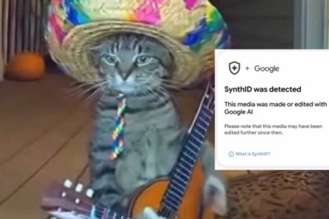 Un chat généré par IA et SynthID. // Source : Numerama Un chat généré par IA et SynthID. // Source : Numerama